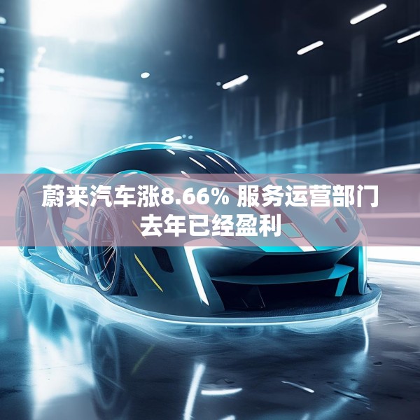 蔚来汽车涨8.66% 服务运营部门去年已经盈利