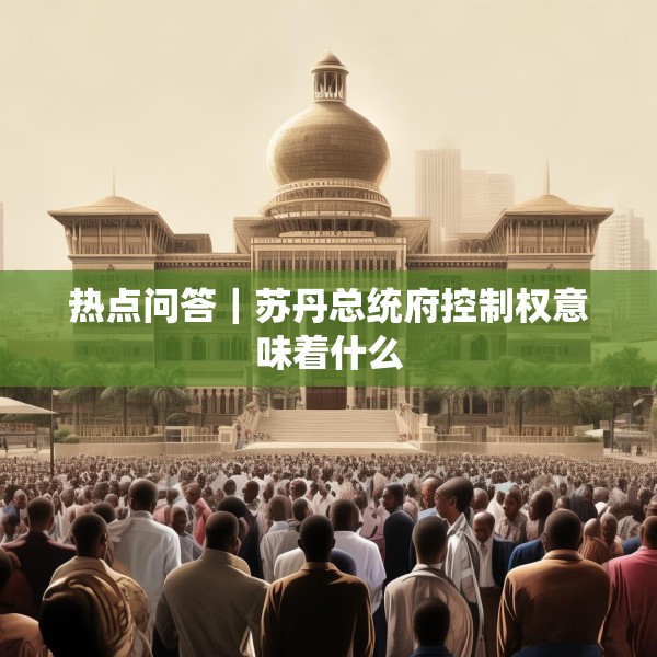 热点问答｜苏丹总统府控制权意味着什么