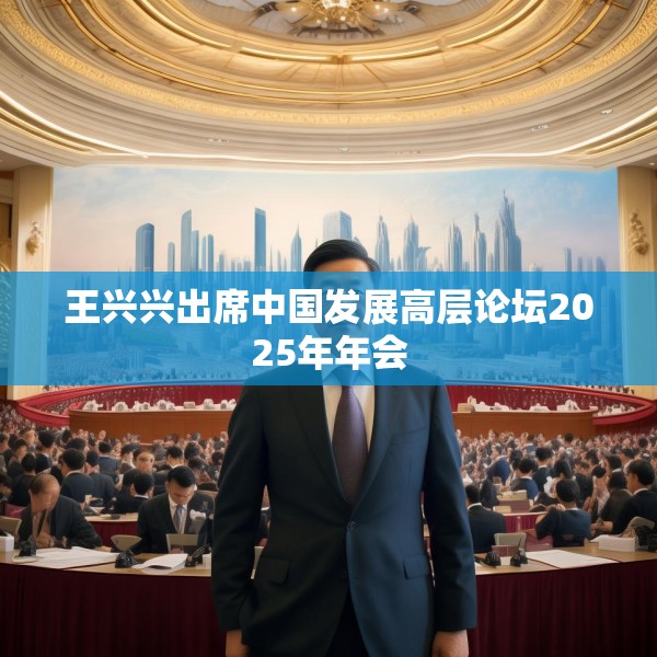 王兴兴出席中国发展高层论坛2025年年会