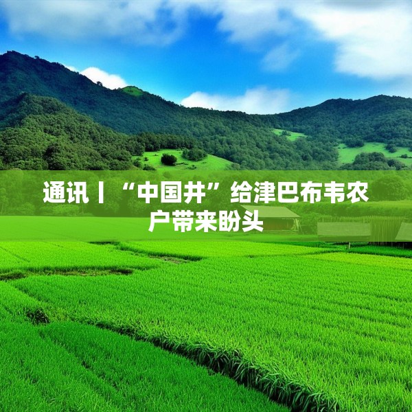 通讯丨“中国井”给津巴布韦农户带来盼头