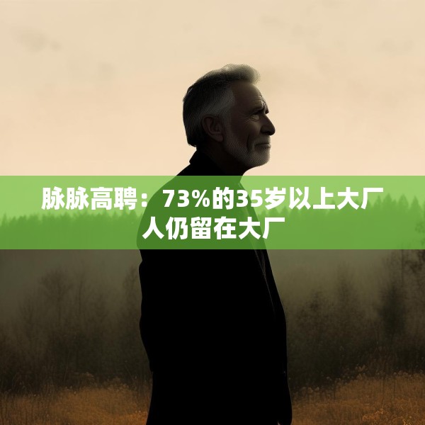 脉脉高聘：73%的35岁以上大厂人仍留在大厂