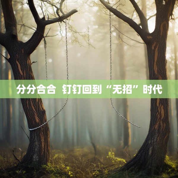 分分合合  钉钉回到“无招”时代