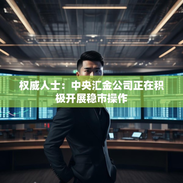 权威人士：中央汇金公司正在积极开展稳市操作