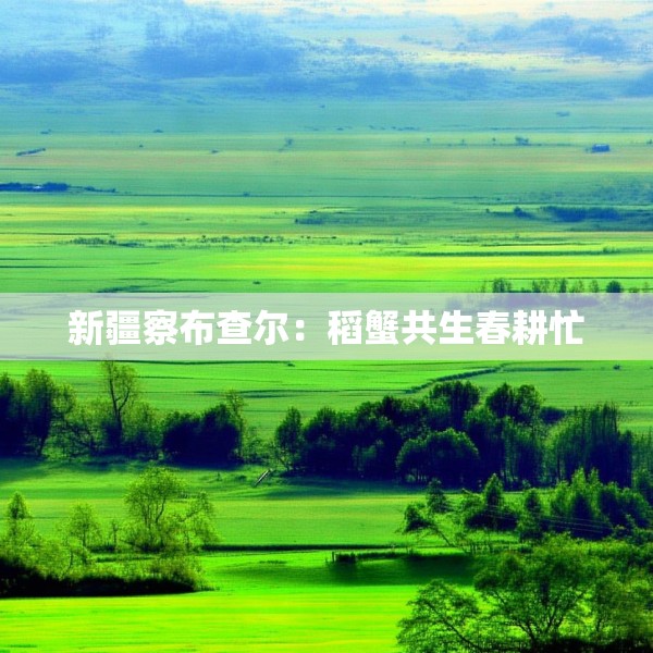 新疆察布查尔：稻蟹共生春耕忙