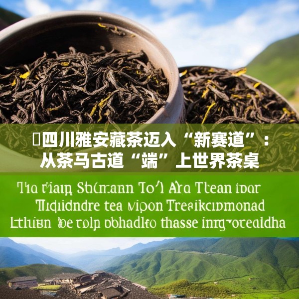 ​四川雅安藏茶迈入“新赛道”：从茶马古道“端”上世界茶桌
