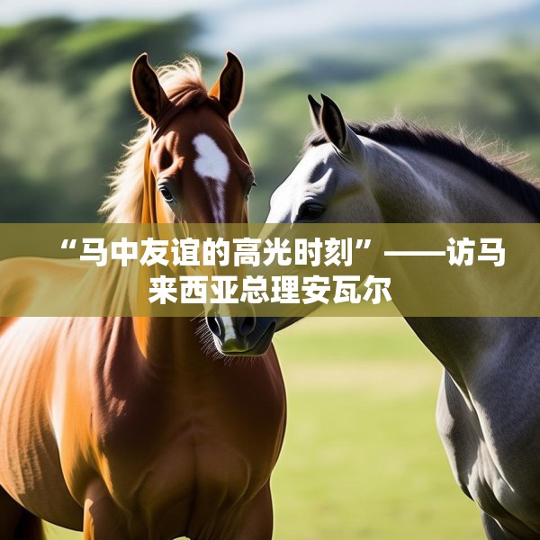 “马中友谊的高光时刻”——访马来西亚总理安瓦尔