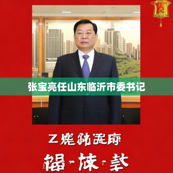 张宝亮任山东临沂市委书记