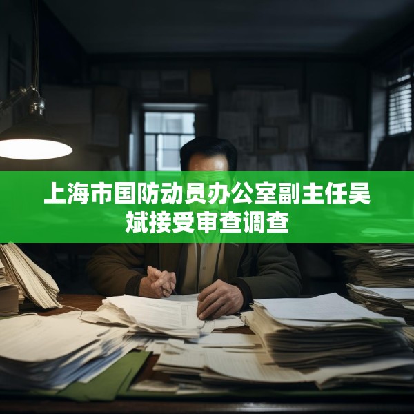 上海市国防动员办公室副主任吴斌接受审查调查