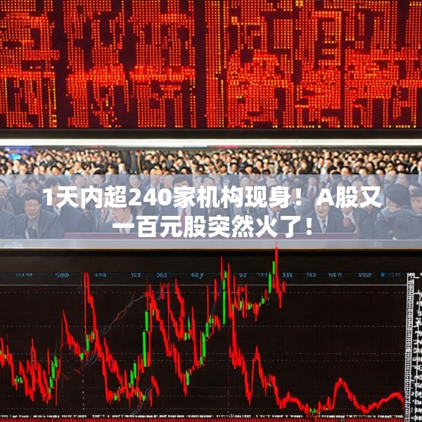 1天内超240家机构现身！A股又一百元股突然火了！