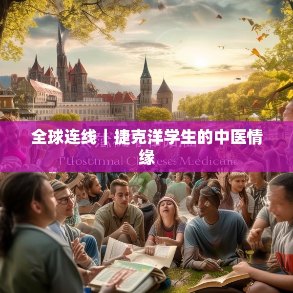 全球连线｜捷克洋学生的中医情缘