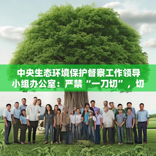 中央生态环境保护督察工作领导小组办公室：严禁“一刀切”，切实减轻基层负担