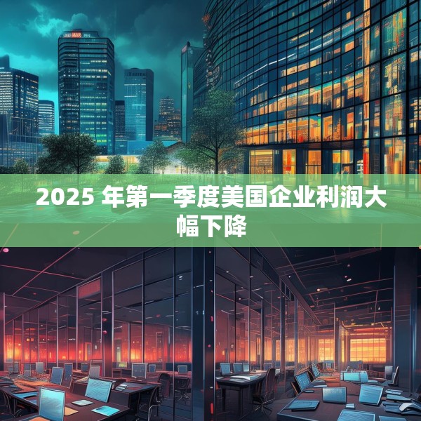2025 年第一季度美国企业利润大幅下降
