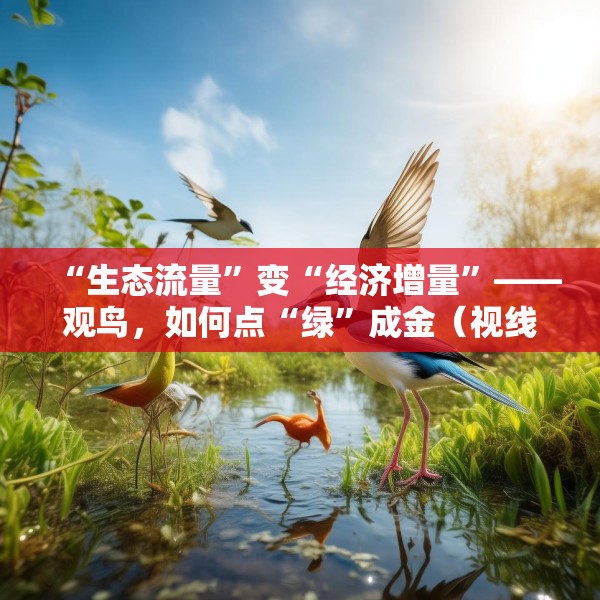 “生态流量”变“经济增量”——观鸟，如何点“绿”成金（视线）