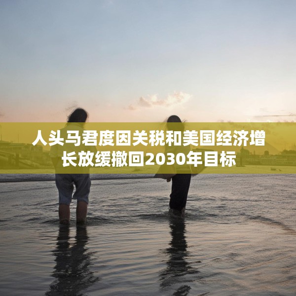 人头马君度因关税和美国经济增长放缓撤回2030年目标
