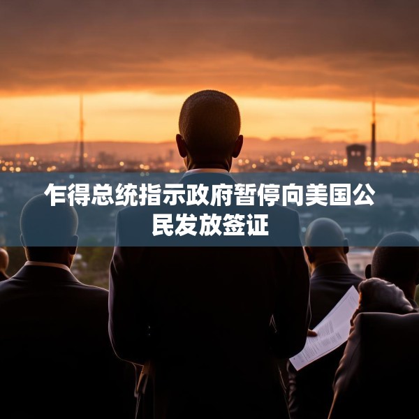 乍得总统指示政府暂停向美国公民发放签证