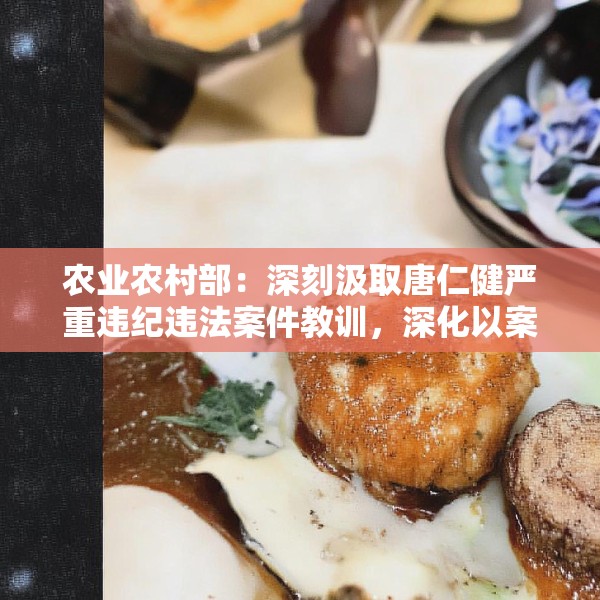 农业农村部：深刻汲取唐仁健严重违纪违法案件教训，深化以案促学促查促改