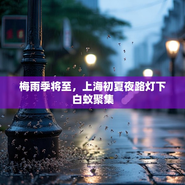 梅雨季将至，上海初夏夜路灯下白蚁聚集