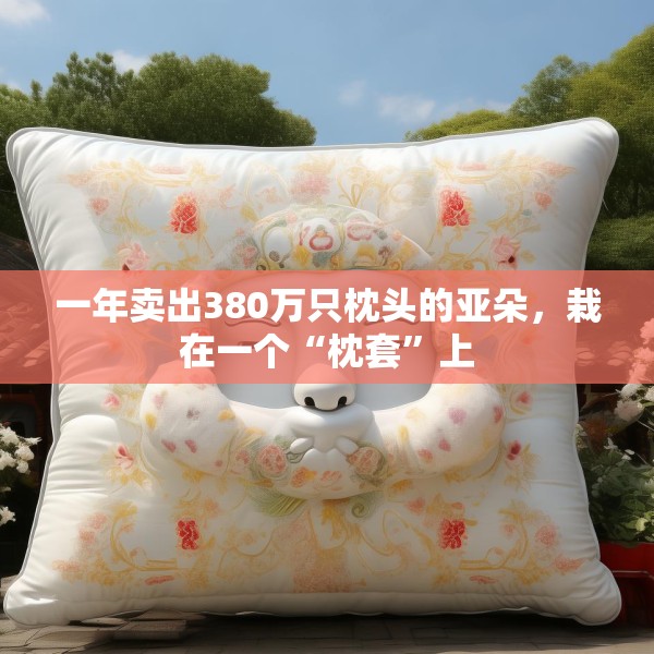 一年卖出380万只枕头的亚朵，栽在一个“枕套”上