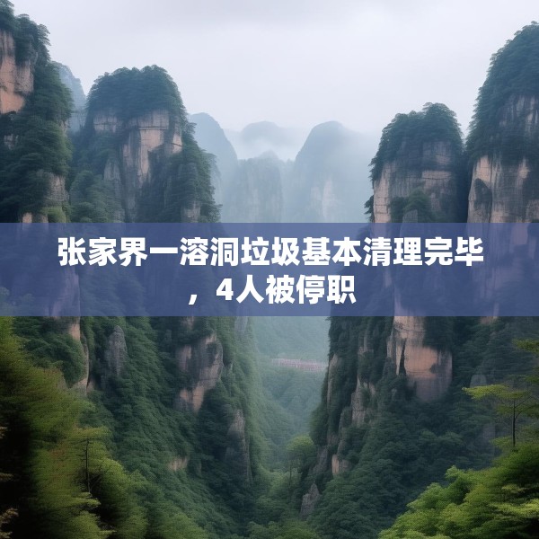 张家界一溶洞垃圾基本清理完毕，4人被停职