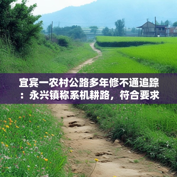 宜宾一农村公路多年修不通追踪：永兴镇称系机耕路，符合要求